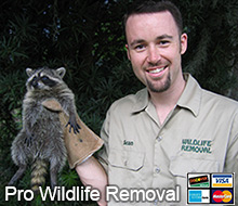 San Antonio Wildlife Control