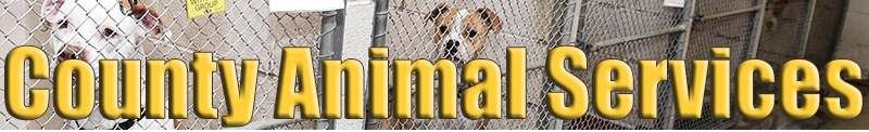 Charleston County Animal Services