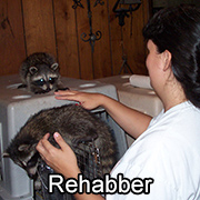 Rehabber