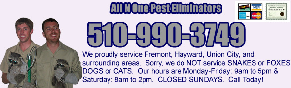 Fremont Wildlife Control Company, Alameda County CA Pest Wildlife