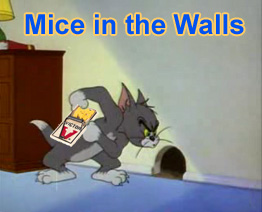 Mice In The Wall How To Get A Mouse Out Of Your Walls