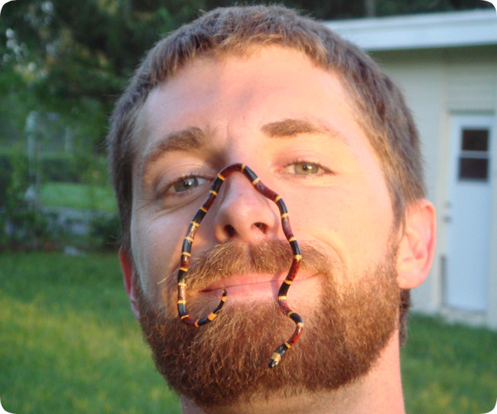 Baby Coral Snake