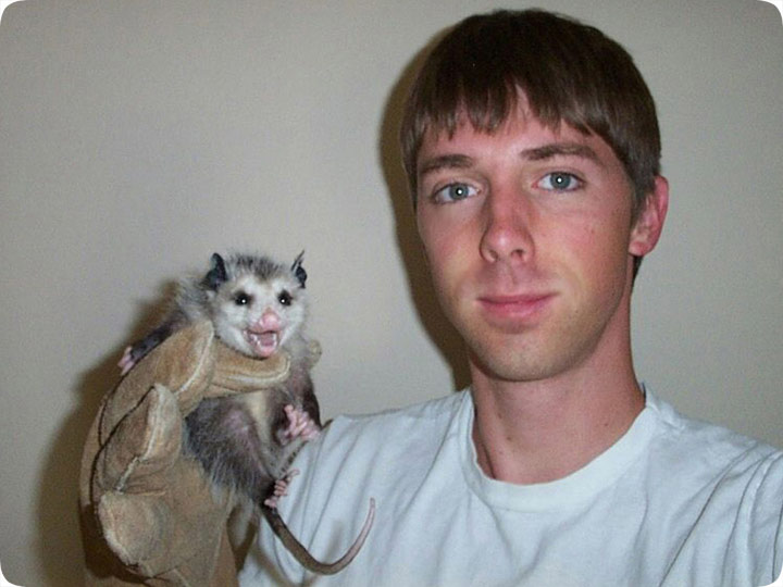 cute opossum