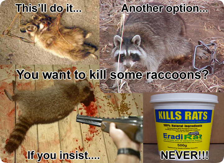 Raccoon Poison