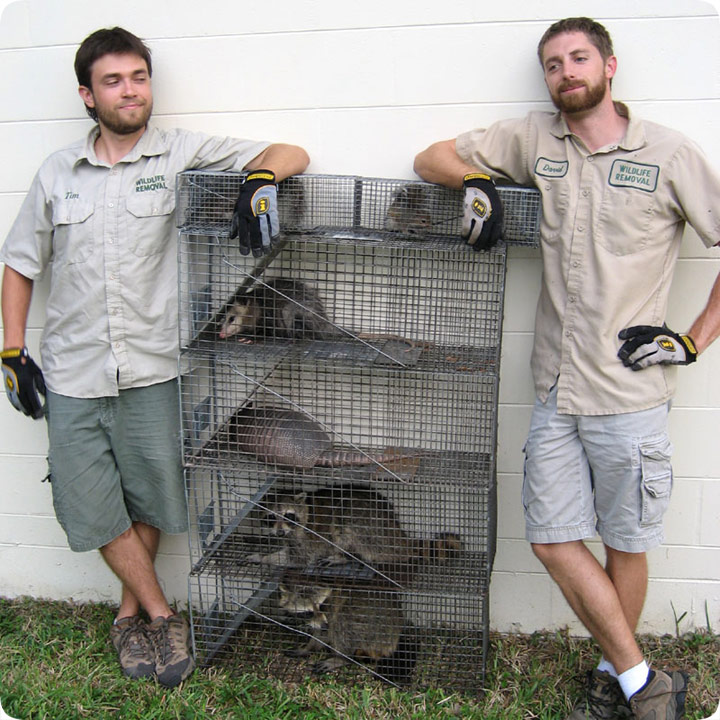 Wildlife Rescue in Orlando Florida