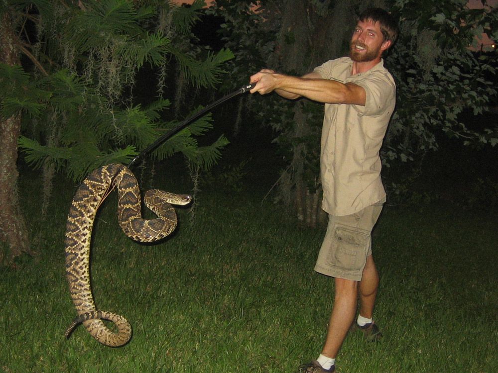 Biggest Eastern Diamondback Rattlesnake