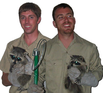 Jack's Nuisance Wildlife Removal Services - Animal Prevention,Trapping  Animals & Damage Repairs